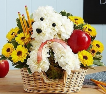 Teacher’s Pet™ Arrangement in Croton On Hudson, NY | Cooke's Little Shoppe Of Flowers