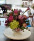 Teacup Tussie  