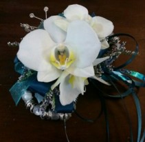 Teal and White Orchid Wristlet Corsage