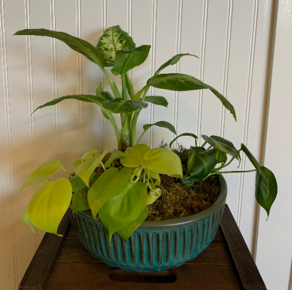 Teal ceramic planter