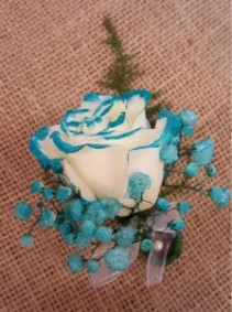 Teal Tipped Rose Boutonniere