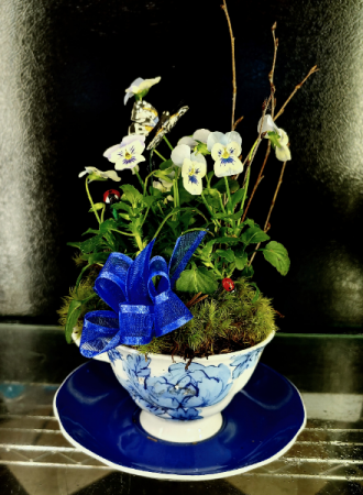 Mini Pansy Teacup of Spring