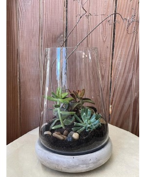 Teardrop glass terrarium 