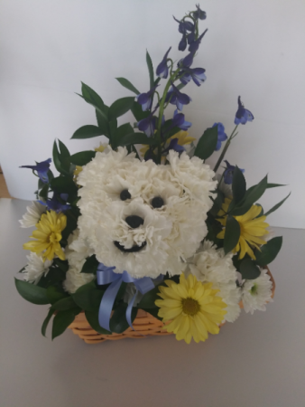 Teddy Bear In Tampa Fl Blooms Bouquets