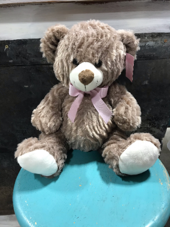 Teddy Bear  in Absarokee, MT | MONTANA CREATIVES FLORAL AND GIFTS