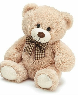 Ted The Bear By BURTON + BURTON Teddy Bear 