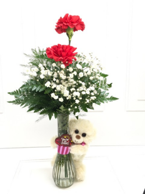 Teddy Bear Carnation Vase  