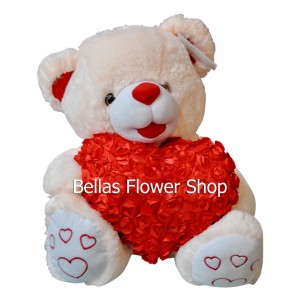 Teddy Bear- heart 