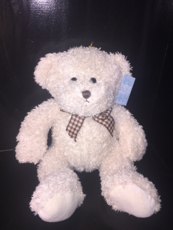 Teddy Bear Stuffed Animal