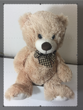 Teddy Bears