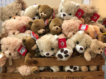 Teddy Bears  in Livermore, CA | KNODT'S FLOWERS