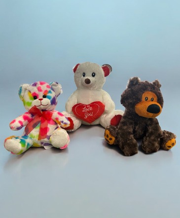 Teddy Bears  in Barre, VT | Emslie The Florist & Gifts