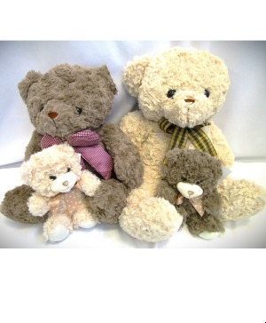 TEDDY BEARS - ADD ON SECTION WHEN ORDERING TEDDY BEARS ADD ON