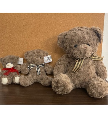 Teddy Bears (Baxter's Bears) Add-ons  in Exeter, CA | EXETER FLOWER COMPANY