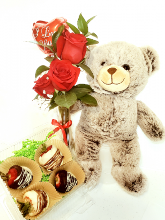 Teddy Love + BlissTreats Gift in Manassas, VA | Blissfields Blooms & Gifts
