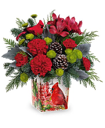 Teleflora Cardinal Cube christmas in Canton, IL | CJ FLOWERS & MORE
