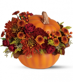 Teleflora Pumpkin Fall Pumpkin in Borger, TX | Chocolate Tulip Teleflora Pumpkin Fall Pumpkin in Borger, TX | Chocolate Tulip