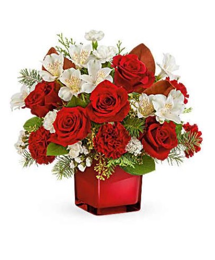 Teleflora Scarlet Splender Christmas 