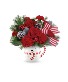 Teleflora Send a Hug Cozy Cub Wish 