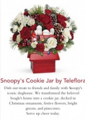 Teleflora Snoopy Cookie Jar Arrangement Christmas 