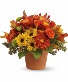 Teleflora Sugar Maples 