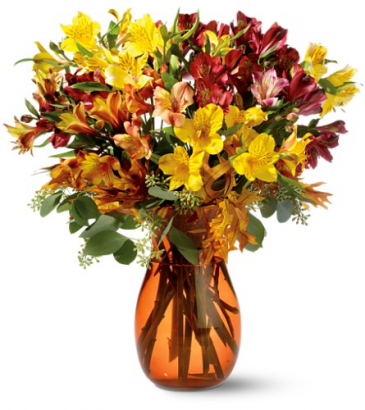 Teleflora's Alstroemeria Brights