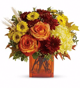 Teleflora's Autumn Expression Fall