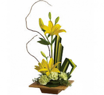 Bamboo-O-Artistry - 300 Tropical arrangement