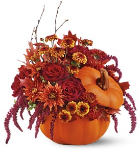 Teleflora's Bewitching Pumpkin Halloween Bouquet in Coral Springs, FL | DARBY'S FLORIST Teleflora's Bewitching Pumpkin Halloween Bouquet in Coral Springs, FL | DARBY'S FLORIST