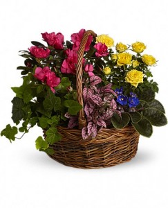 Teleflora's Blooming Garden Basket  