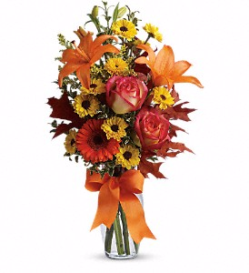 Teleflora's Burst of Autumn Fall in Valley City, OH | HILL HAVEN FLORIST & GREENHOUSE Teleflora's Burst of Autumn Fall in Valley City, OH | HILL HAVEN FLORIST & GREENHOUSE