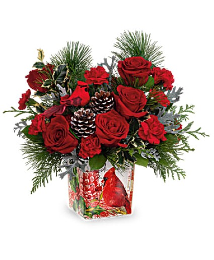 Teleflora's Cardinal Cheer Bouquet Christmas