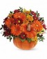 Teleflora's Country Pumpkin Fall Arrnagment