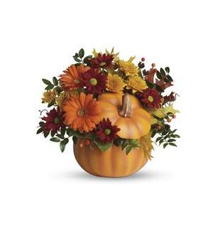 Teleflora's Country Pumpkin Fresh Fall Arrangement