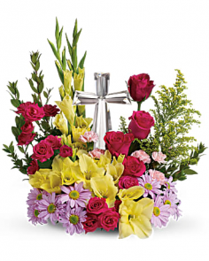 Category Image