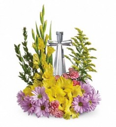 Category Image