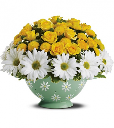 Teleflora's Daisy Colander Fresh Arrangement