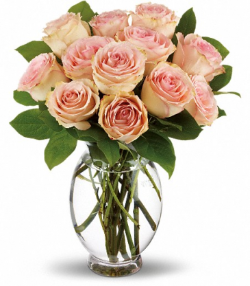 Teleflora's Delicate Dozen Roses