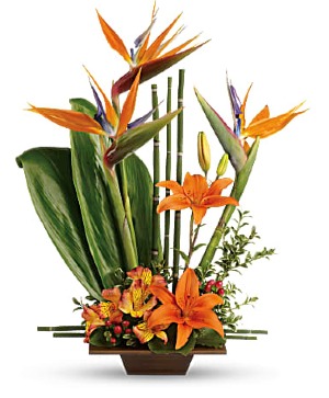 Teleflora's Exotic Grace 