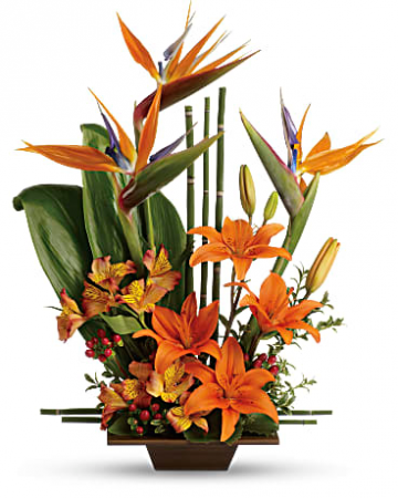 Teleflora's Exotic Grace Bouquet Vase Arrangement