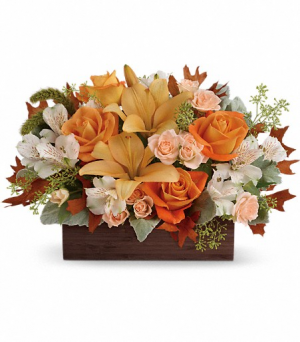 Teleflora's Fall Chic Bouquet in Valley City, OH | HILL HAVEN FLORIST & GREENHOUSE Teleflora's Fall Chic Bouquet in Valley City, OH | HILL HAVEN FLORIST & GREENHOUSE