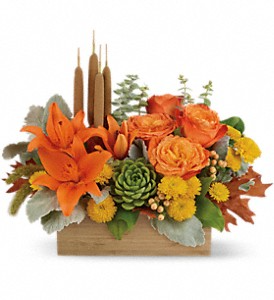 Teleflora's Fall Garden Succulents and Mixed Flowers