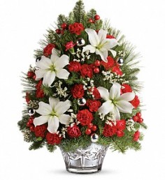 Category Image
