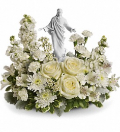Category Image