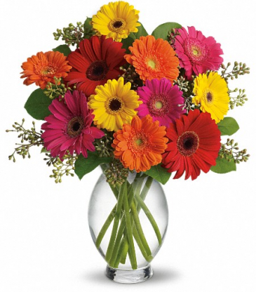 Teleflora's Gerbera Brights