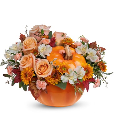 Teleflora's Hello Pumpkin  in Mount Pearl, NL | MOUNT PEARL FLORIST