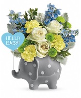 Teleflora's Hello Sweet Baby - Blue novelty