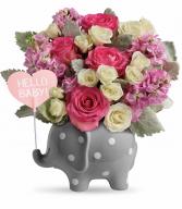 Teleflora's Hello Sweet Baby Girl TNB06-1B Bouquet