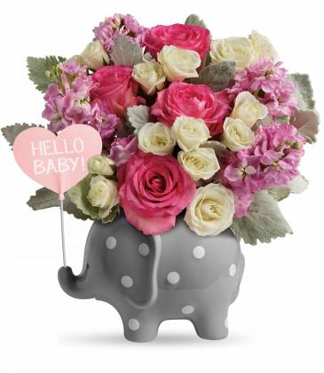 Teleflora's Hello Sweet Baby Girl TNB06-1B Bouquet in Moses Lake, WA | FLORAL OCCASIONS Teleflora's Hello Sweet Baby Girl TNB06-1B Bouquet in Moses Lake, WA | FLORAL OCCASIONS