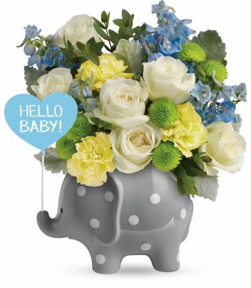 Teleflora's Hello Sweet Baby Boy TNB07-1B Bouquet in Moses Lake, WA | FLORAL OCCASIONS